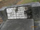 image of grave number 466410