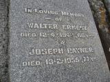 image number PA0161