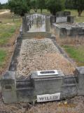 image of grave number 466511