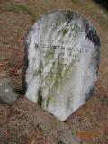 image of grave number 466531
