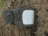image of grave number 909941