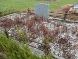 image of grave number 909947