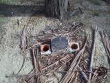image of grave number 133833