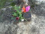 image of grave number 133834