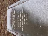 image of grave number 575508