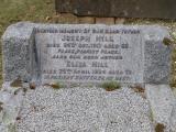 image of grave number 575530