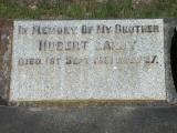 image of grave number 895705