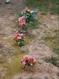 image of grave number 895738