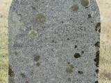 image of grave number 815259