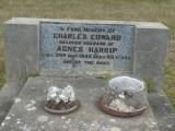 image of grave number 902385