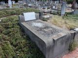 image of grave number 423205