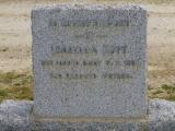 image of grave number 464555
