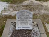 image of grave number 464576