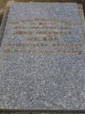image of grave number 464580