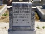 image of grave number 464656