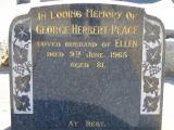 image of grave number 464768