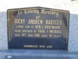 image of grave number 464871