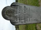 image of grave number 951232