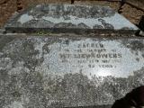 image of grave number 856905