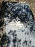 image of grave number 856974