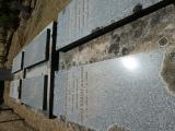 image of grave number 856988