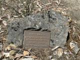 image of grave number 895996