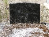 image of grave number 896021