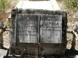 image of grave number 896034