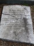 image of grave number 447161