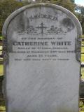 image of grave number 447283