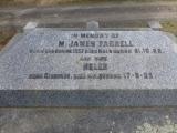 image of grave number 492078