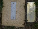 image of grave number 492162