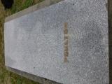 image of grave number 492216