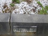 image of grave number 492247