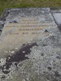 image of grave number 492254
