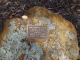 image of grave number 491422