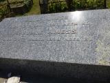 image of grave number 491496
