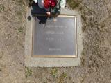 image of grave number 491785