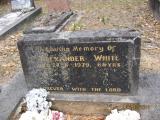 image of grave number 397857