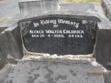image of grave number 397982