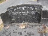 image of grave number 397983
