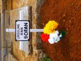 image of grave number 870245