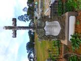 image of grave number 870715