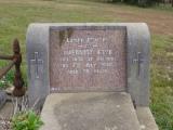 image of grave number 870249