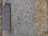 image of grave number 870504