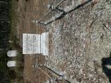 image of grave number 951315