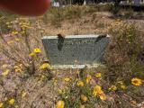 image of grave number 951379