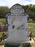image of grave number 505311