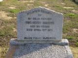 image of grave number 505412