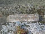 image of grave number 411394